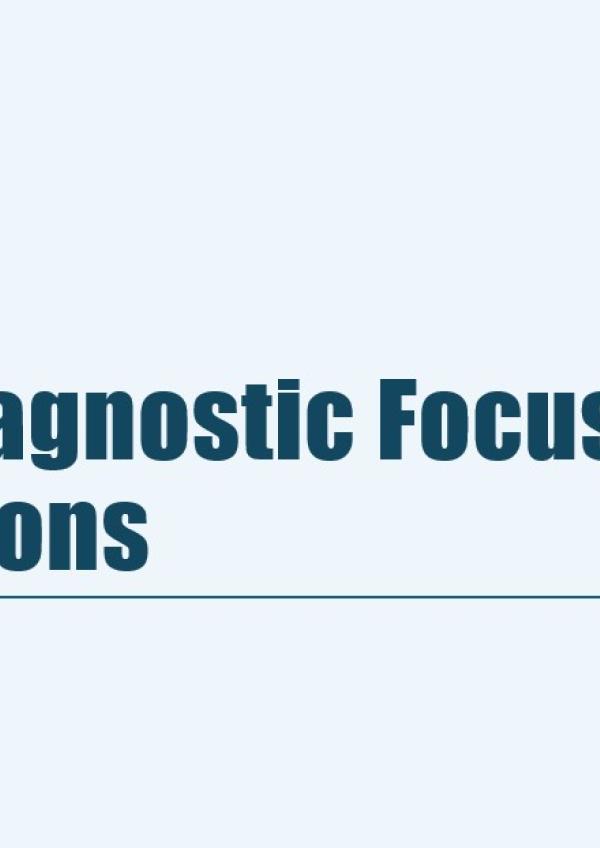 Rapid diagnostic tool: Focus group discussions